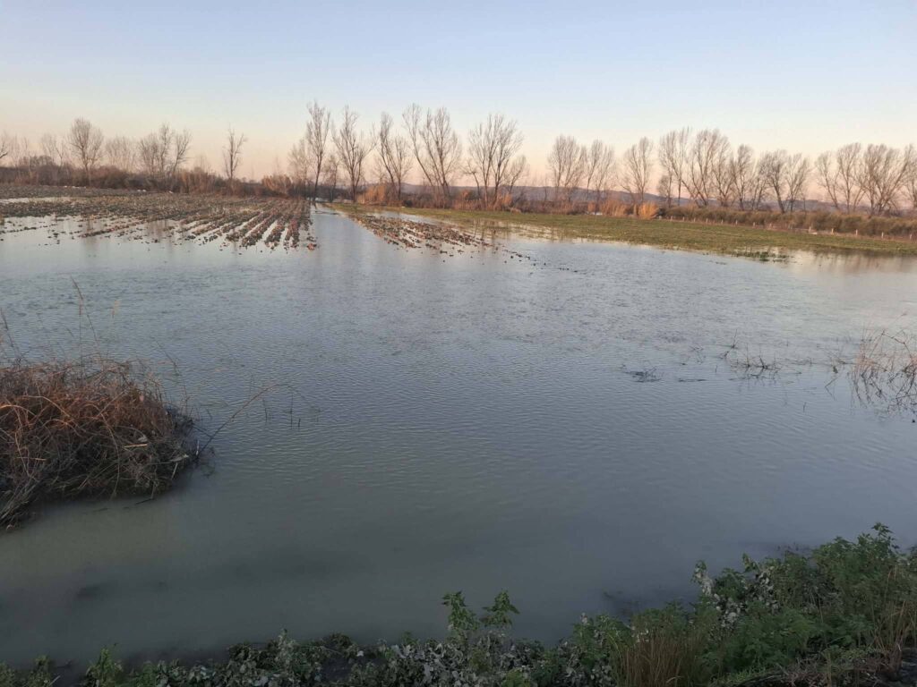 Shkarkimet nga digat dhe kanalet e bllokuara, rritet sipërfaqja e serrave të përmbytura, kostot
